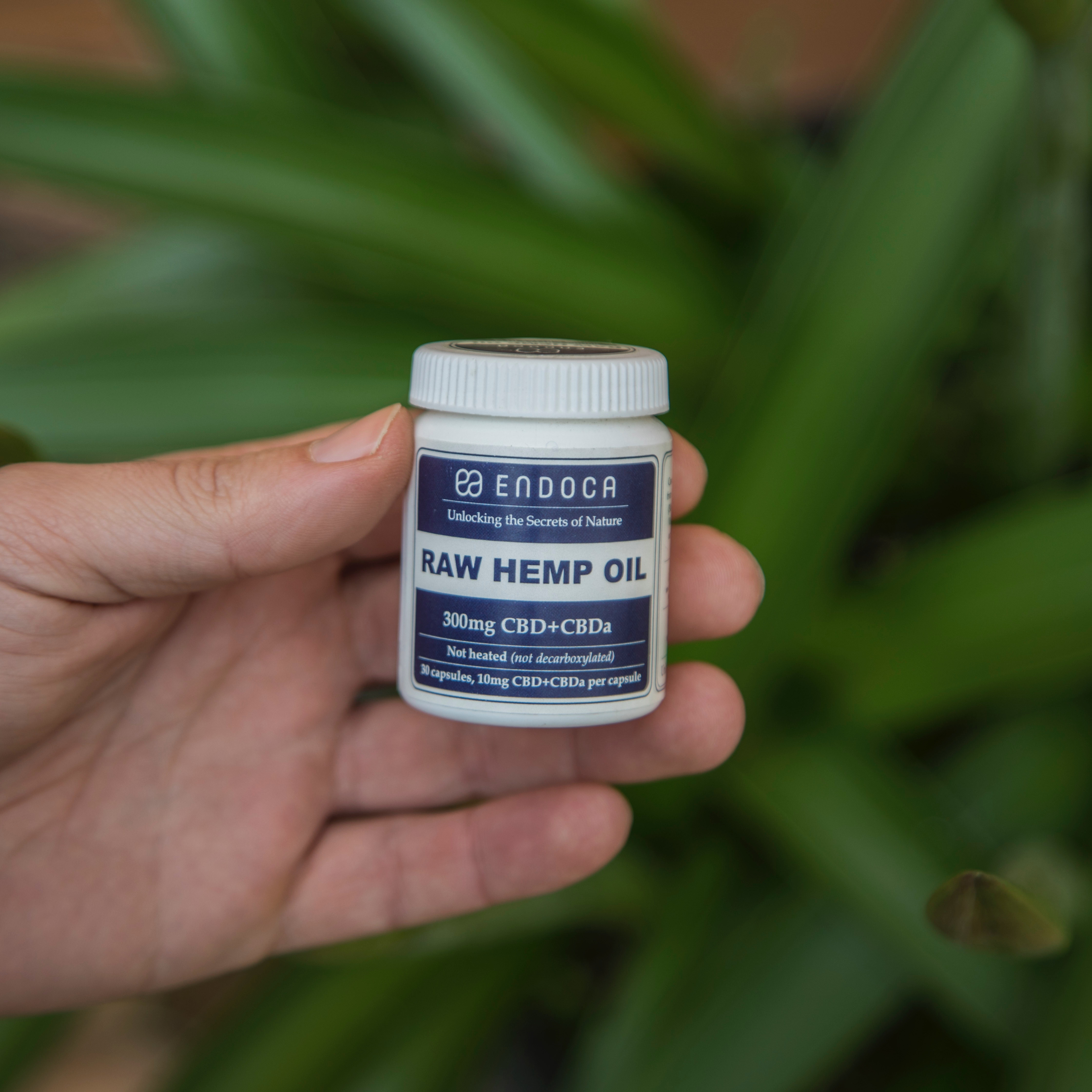 demi-pradolin-1352675-unsplash